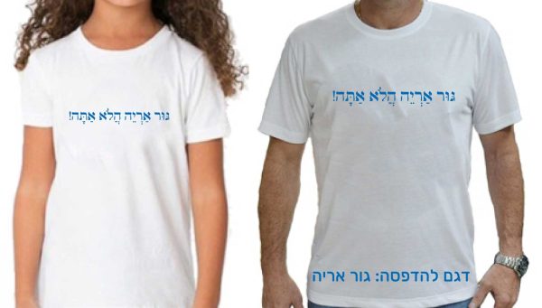 חולצה להרמת המורל עם משפטים מעודדים. דגם גור אריה