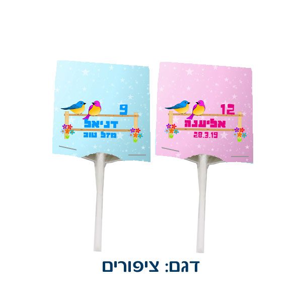 סוכריה ממותגת על מקל עם הקדשה - מתנה קטנה ומתוקה לאורחים בבת מצווה / יום הולדת