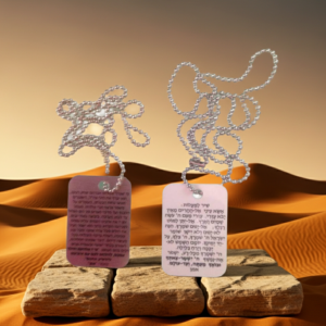 דיסקית רוחנית לחיילים, החל מ-25 ש"ח